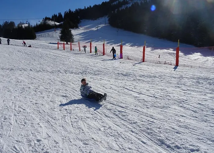 Chateau De La Lanette Pensjonat Saléchan