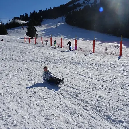 Chateau De La Lanette Gasthof Saléchan